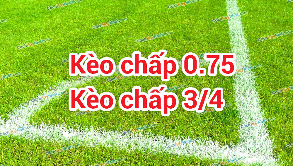 keo 0.75 1 Khái niệm kèo 0.75 là gì?