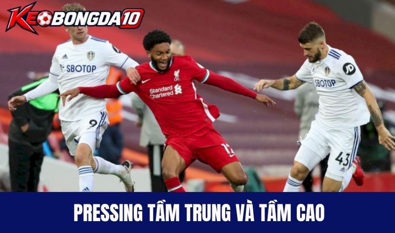 Pressing tầm trung và tầm cao khác gì nhau?