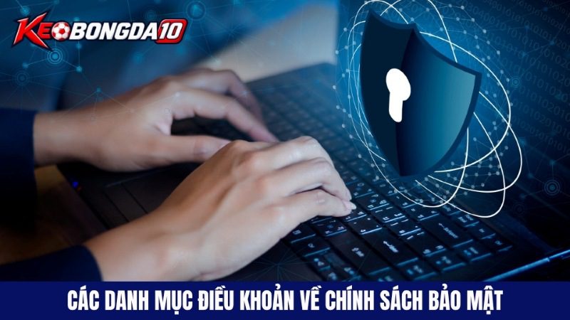 Danh mục điều khoản nổi bật về an toàn của chính sách bảo mật