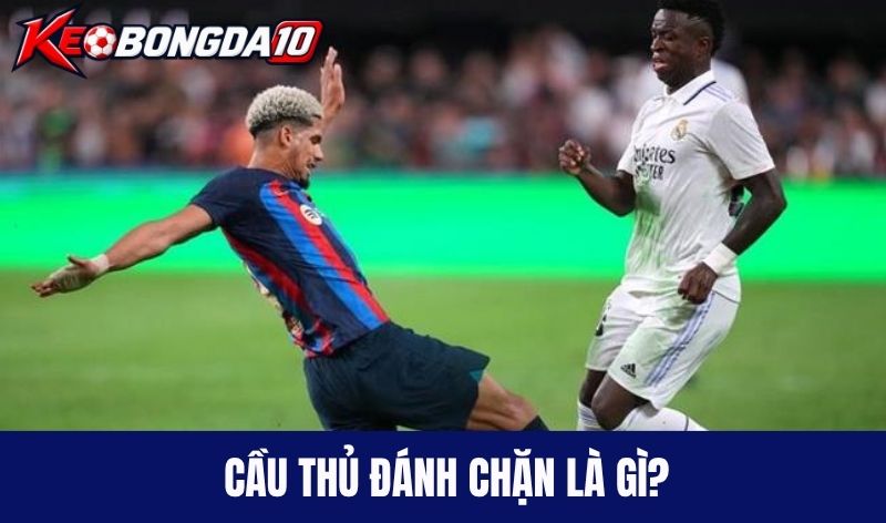 cau thu danh chan la gi Tìm hiểu về cầu thủ đánh chặn