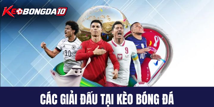 keo bong da giai dau Các giải đấu được Kèo Bóng Đá cập nhật