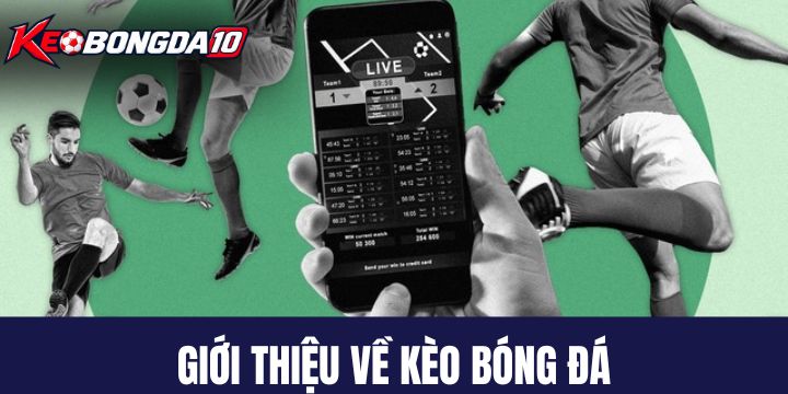 keo bong da gioi thieu Điều cần biết về Kèo Bóng Đá