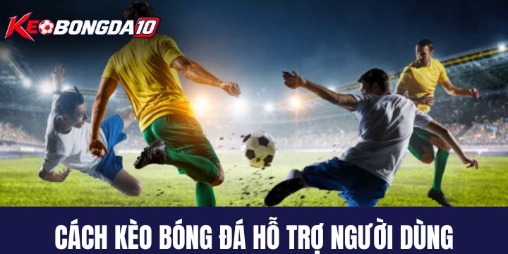 keo bong da ho tro Kèo Bóng Đá hỗ trợ người chơi theo dõi trận đấu như thế nào?