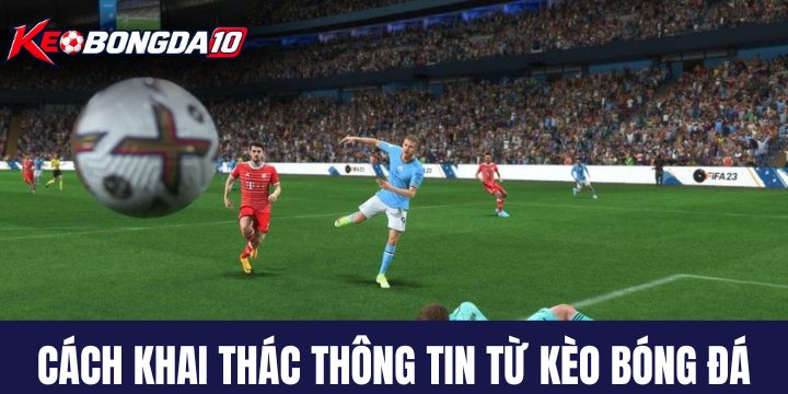 keo bong da khai thac Cách khai thác thông tin từ Kèo Bóng Đá hiệu quả