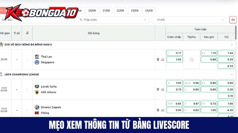 Mẹo xem thông tin từ livescore dễ thắng