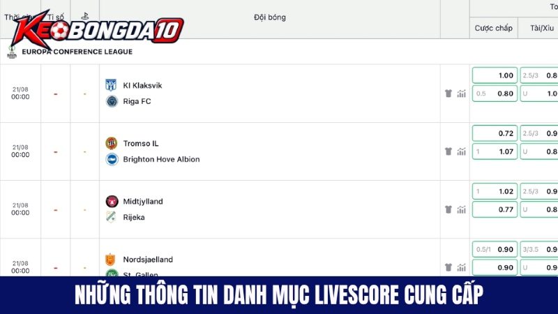 Danh mục livescore sẽ cung cấp các thông tin bóng đá gì?