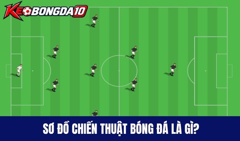 so do chien thuat bong da la gi Sơ đồ chiến thuật bóng đá là gì?
