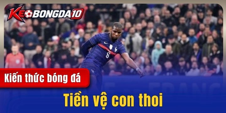 Tiền vệ con thoi – Động cơ kết nối công thủ toàn diện 