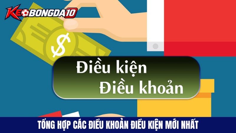 tong hop cac dieu khoan dieu kien moi nhat Tổng hợp về các điều khoản điều kiện mới nhất