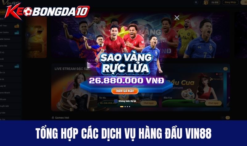 tong hop dich vu vin88 1 Tổng hợp các dịch vụ hàng đầu Vin88
