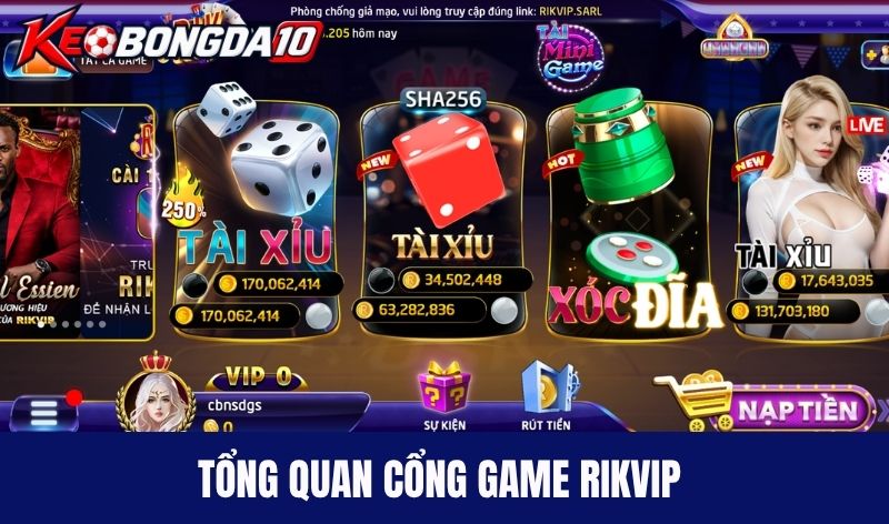 Tổng quan về cổng game đổi thưởng Rikvip