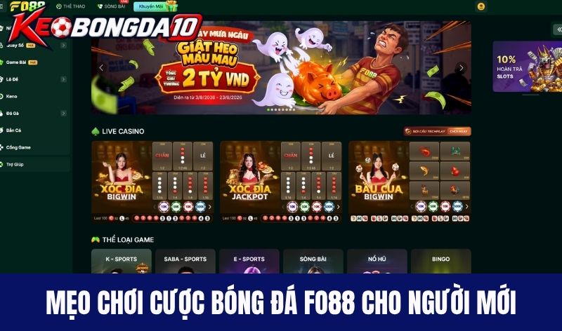 Mẹo chơi cược bóng đá Fo88 cho người mới