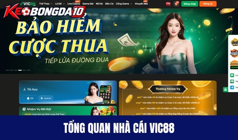 Tổng quan nhà cái Vic88 mới nhất 2026