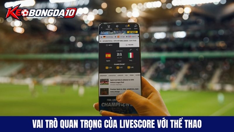 Vai trò quan trọng của livescore đối với giới đầu tư thể thao