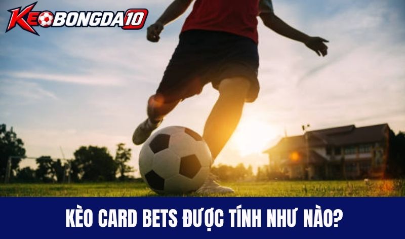 Kèo Card Bets được tính như nào?
