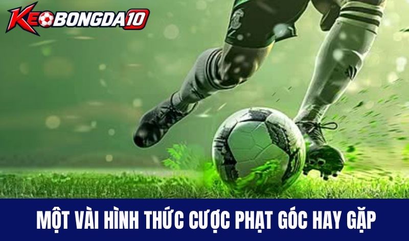 hinh thuc cuoc phat goc Một vài hình thức cược phạt góc hay gặp