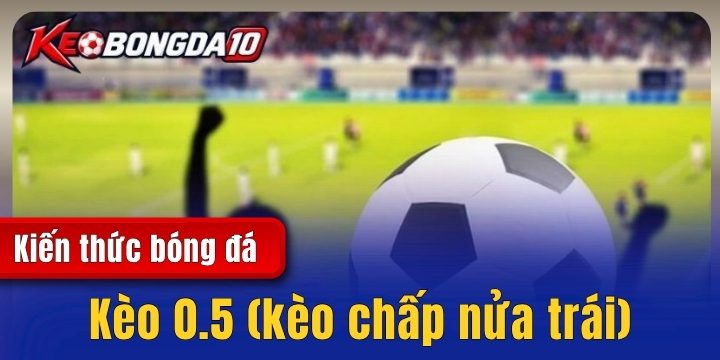 Kèo 0.5 (kèo chấp nửa trái) – Cách đọc & kinh nghiệm đặt cược