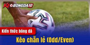 Kèo chẵn lẻ (Odd/Even) - Những quy định trong cá độ bóng đá