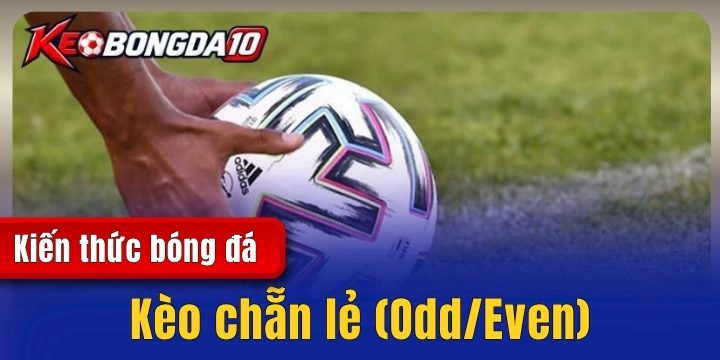 keo chan le 2026 Kèo chẵn lẻ (Odd/Even) – Những quy định trong cá độ bóng đá