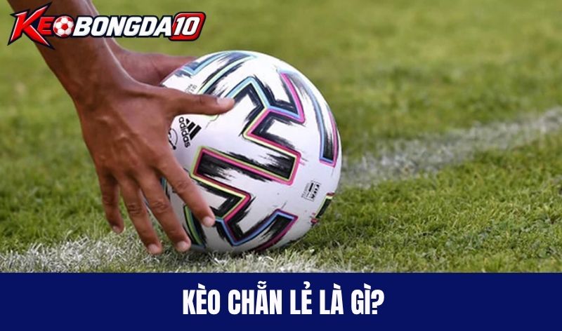 keo chan le la gi Kèo chẵn lẻ là như thế nào?