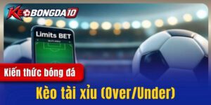 Kèo tài xỉu (Over/Under) - Kiến thức quan trọng để cược thắng
