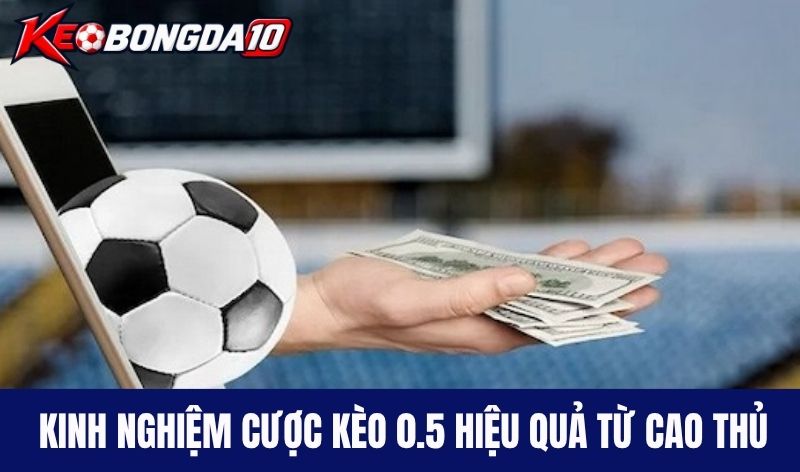 Kinh nghiệm cược kèo 0.5 hiệu quả từ cao thủ