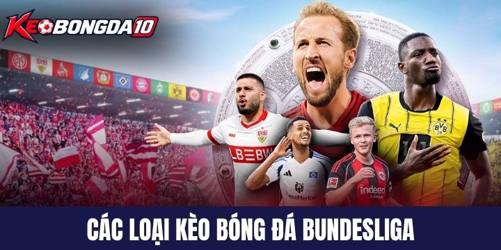 Những loại kèo kèo bóng đá Bundesliga chính