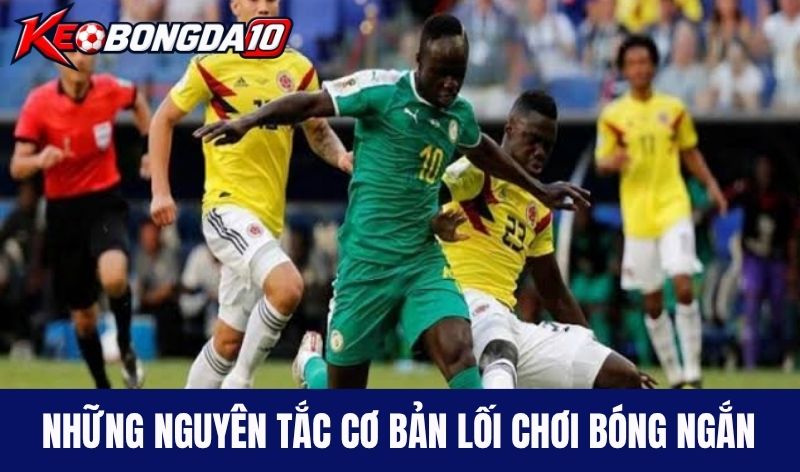 nguyen tac loi choi bong ngan Những nguyên tắc cơ bản trong lối chơi bóng ngắn