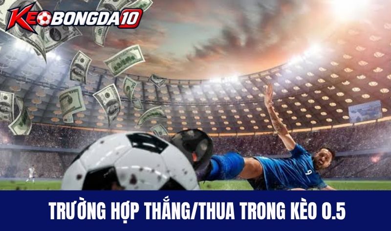 Trường hợp thắng/thua khi cược kèo chấp nửa trái