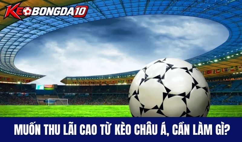 thu lai cao tu keo chau a Muốn thu lãi cao từ kèo châu Á, cần làm gì?