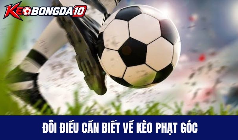 tong quan cuoc phat goc Đôi điều cần biết về kèo phạt góc