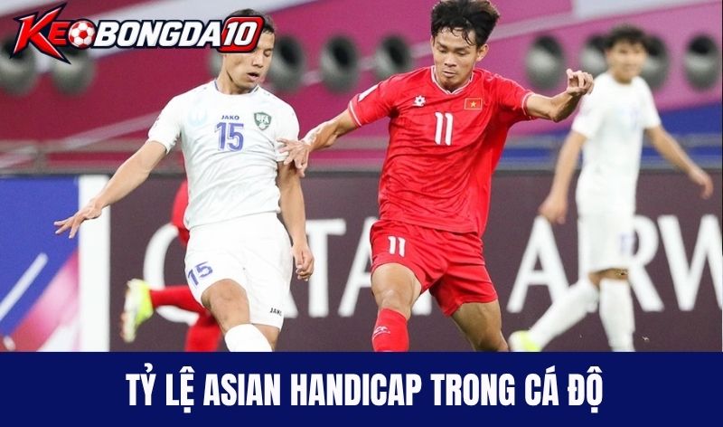 ty le keo chau a trong ca do Tỷ lệ Asian Handicap thường gặp trong cá độ