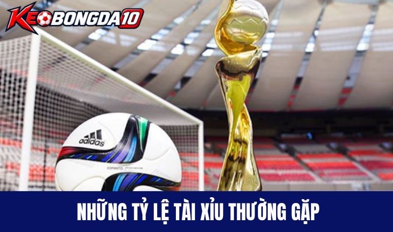 ty le keo tai Những tỷ lệ tài xỉu thường gặp