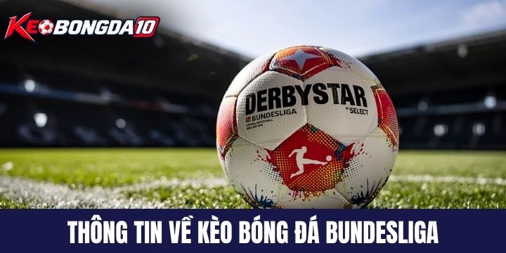 Vài nét về kèo bóng đá Bundesliga